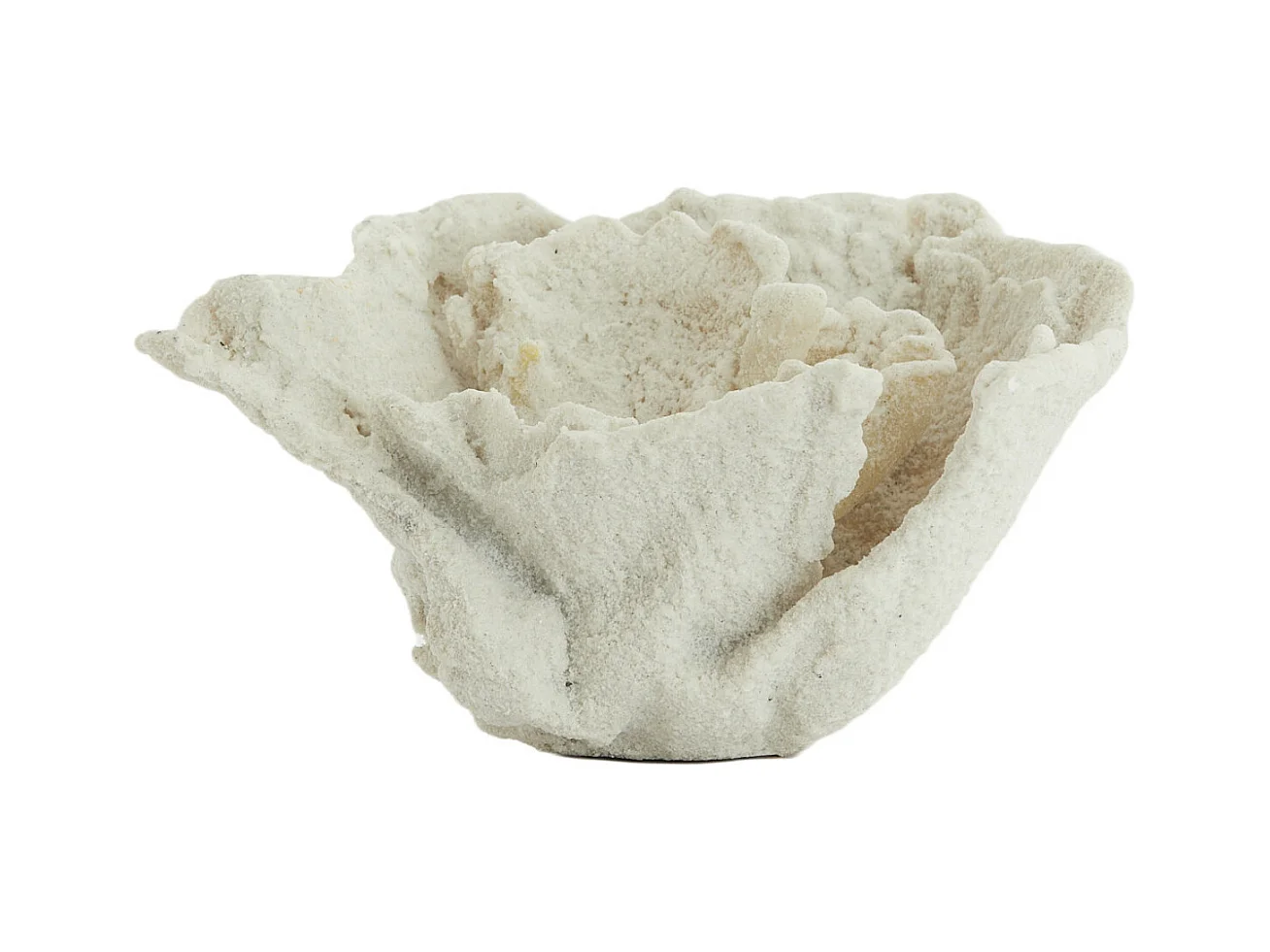 Ornement CORAIL - 23x16x13cm - Blanc
