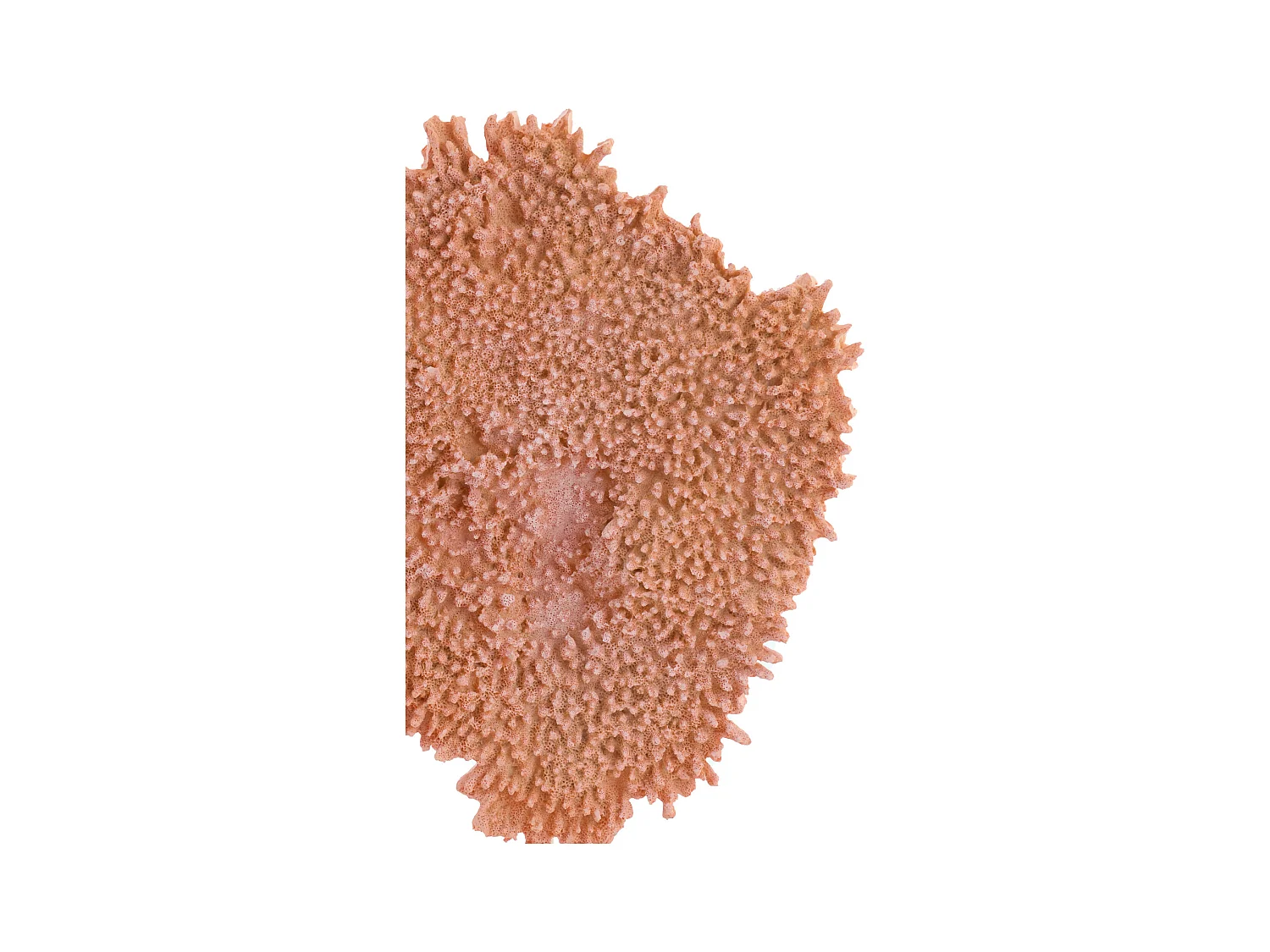 Ornament CORAL - 37x31x61.5cm - Oranje