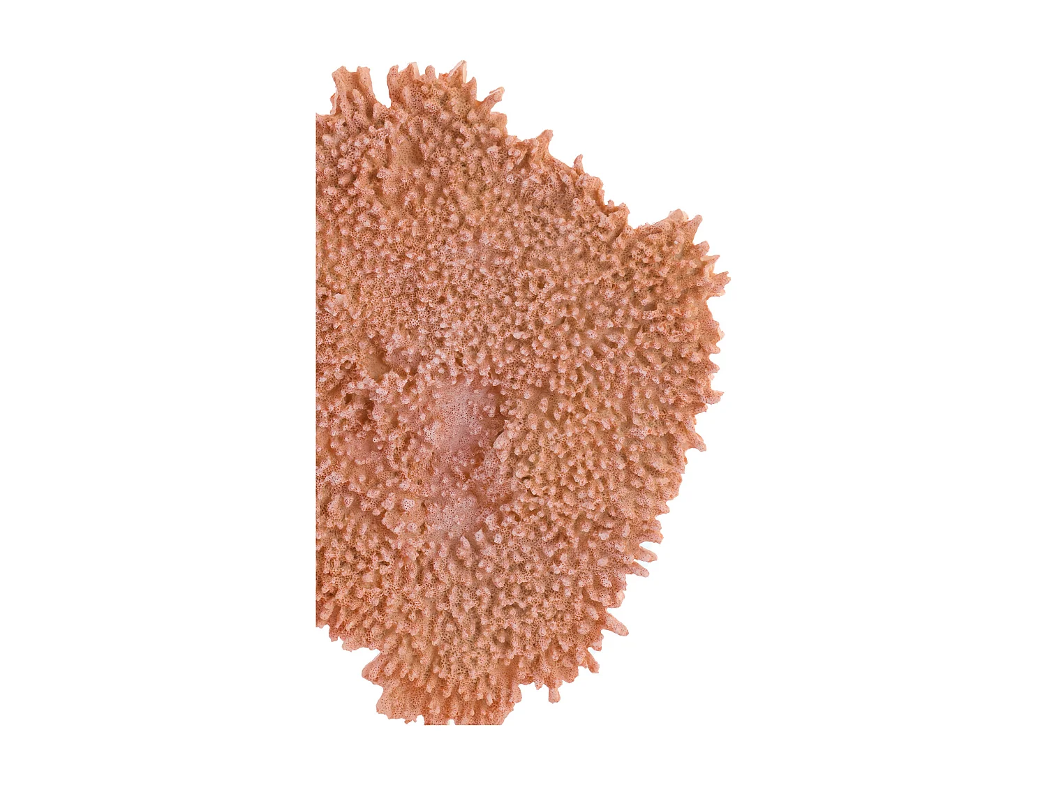Ornement CORAIL - 37x31x61,5cm - Orange