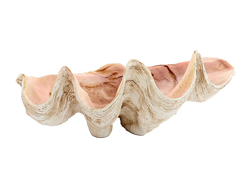 Ornament SHELL - 41x25x17cm - Bruin