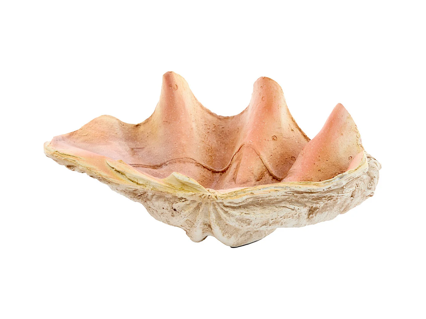 Ornement COQUILLAGE - 41x25x17cm - Marron