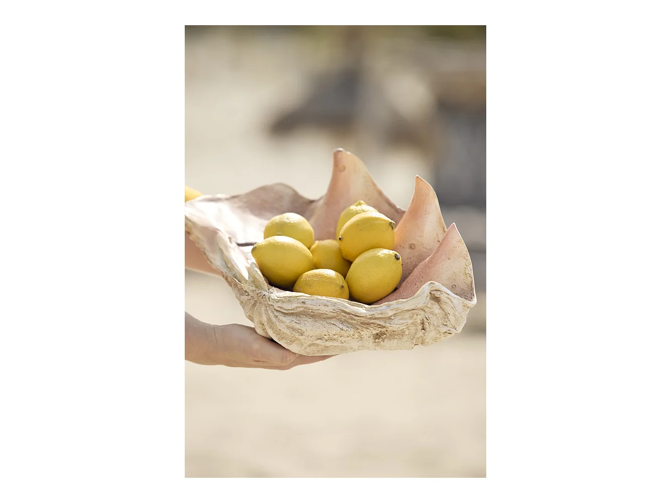 Ornement COQUILLAGE - 41x25x17cm - Marron