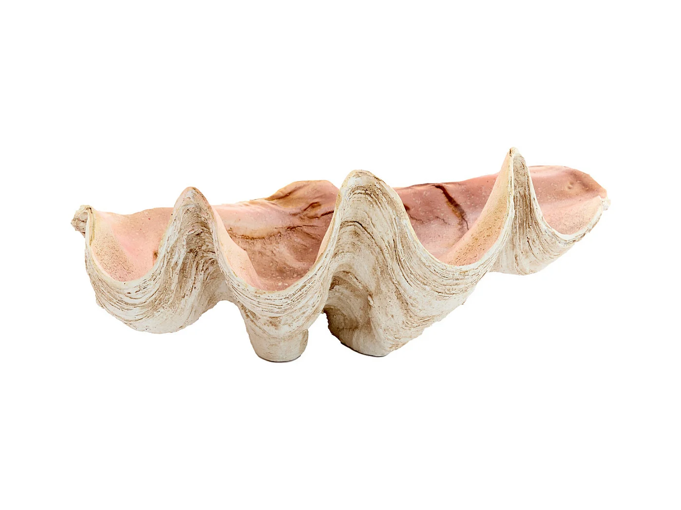 Ornement COQUILLAGE - 41x25x17cm - Marron