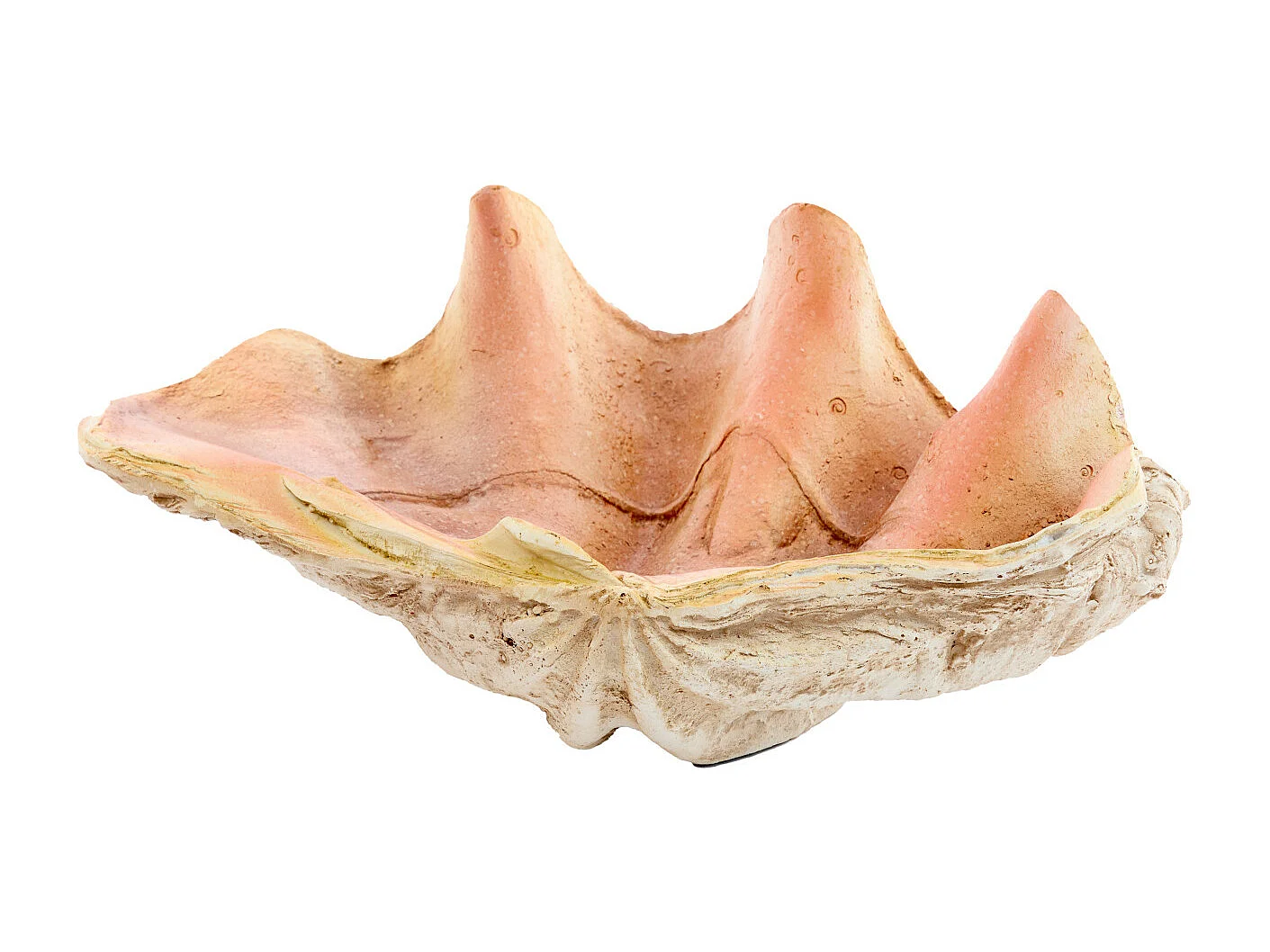 Ornement COQUILLAGE - 41x25x17cm - Marron