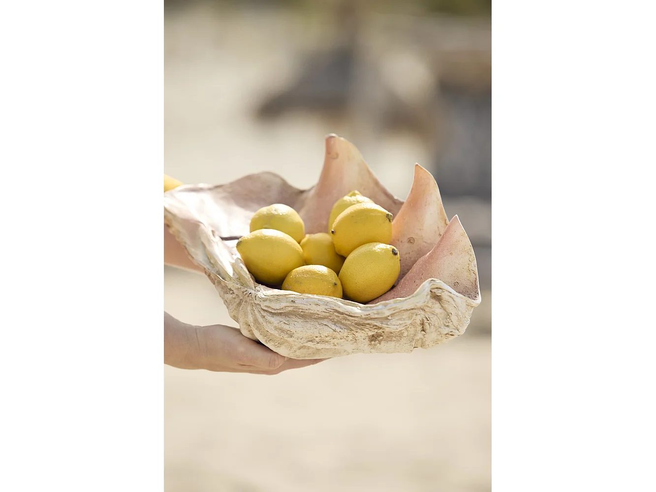 Ornement COQUILLAGE - 41x25x17cm - Marron