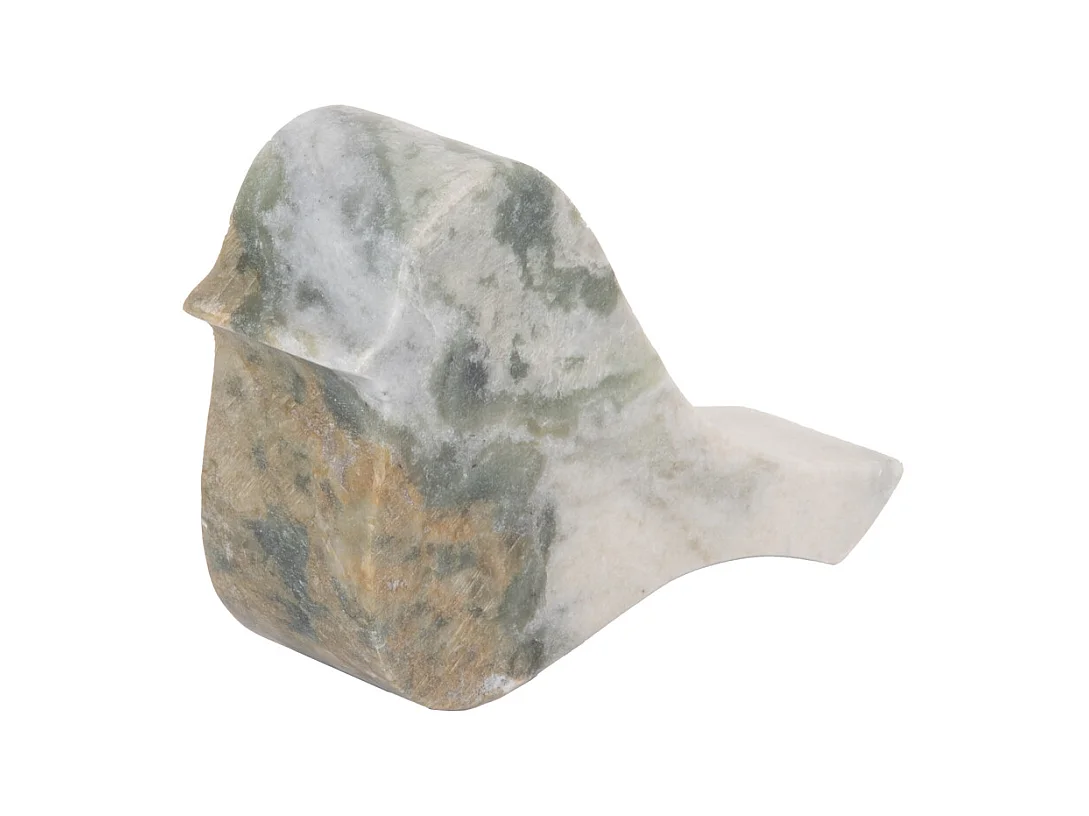 Image Oiseau Petit - Vert himalayen