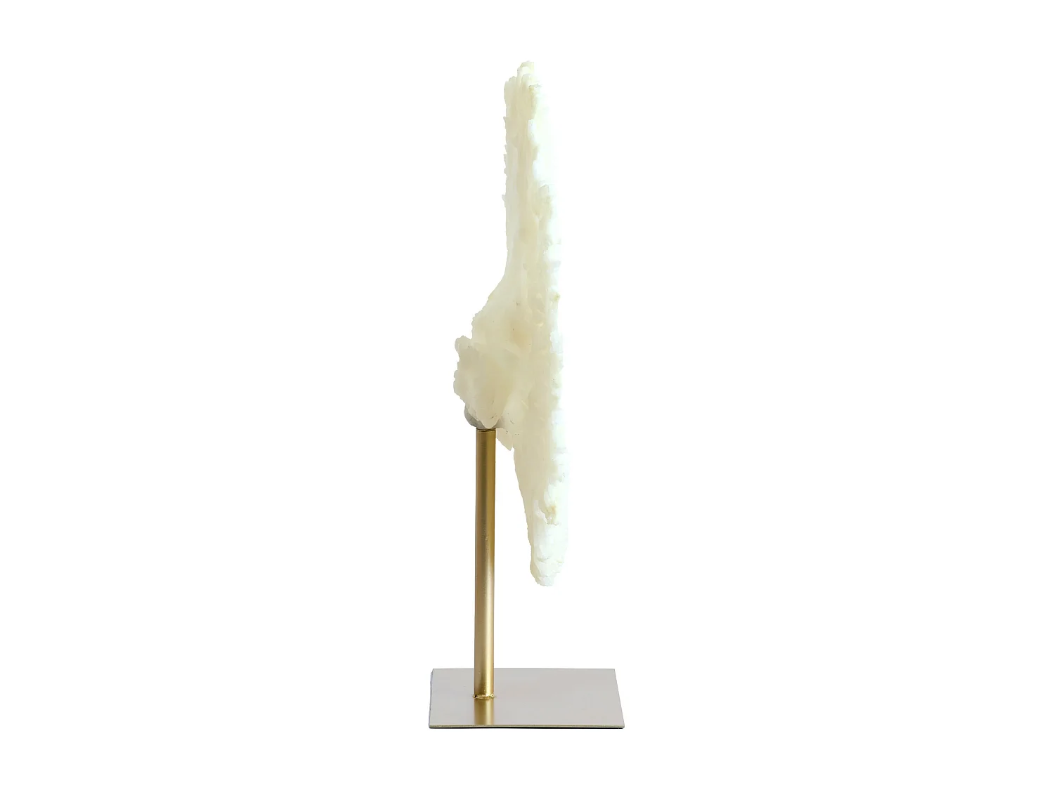 Ornement CORAIL - 46x20x69cm - Blanc