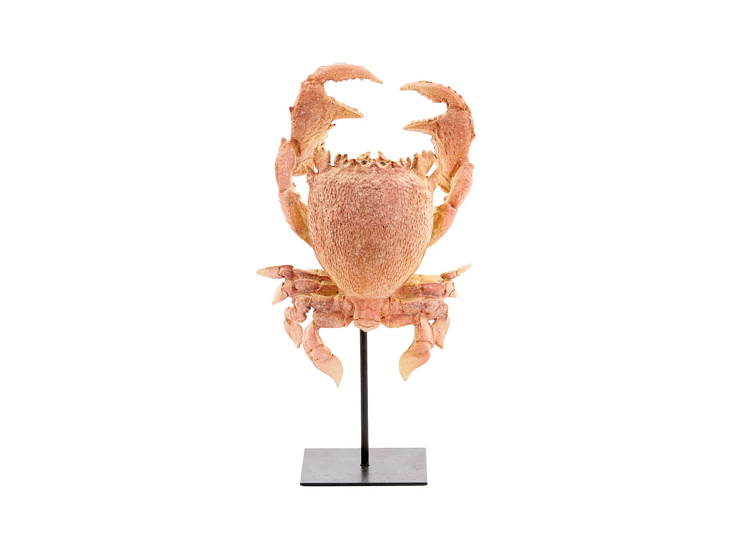Ornement CRABE - 23x12,5x42,5cm - Orange
