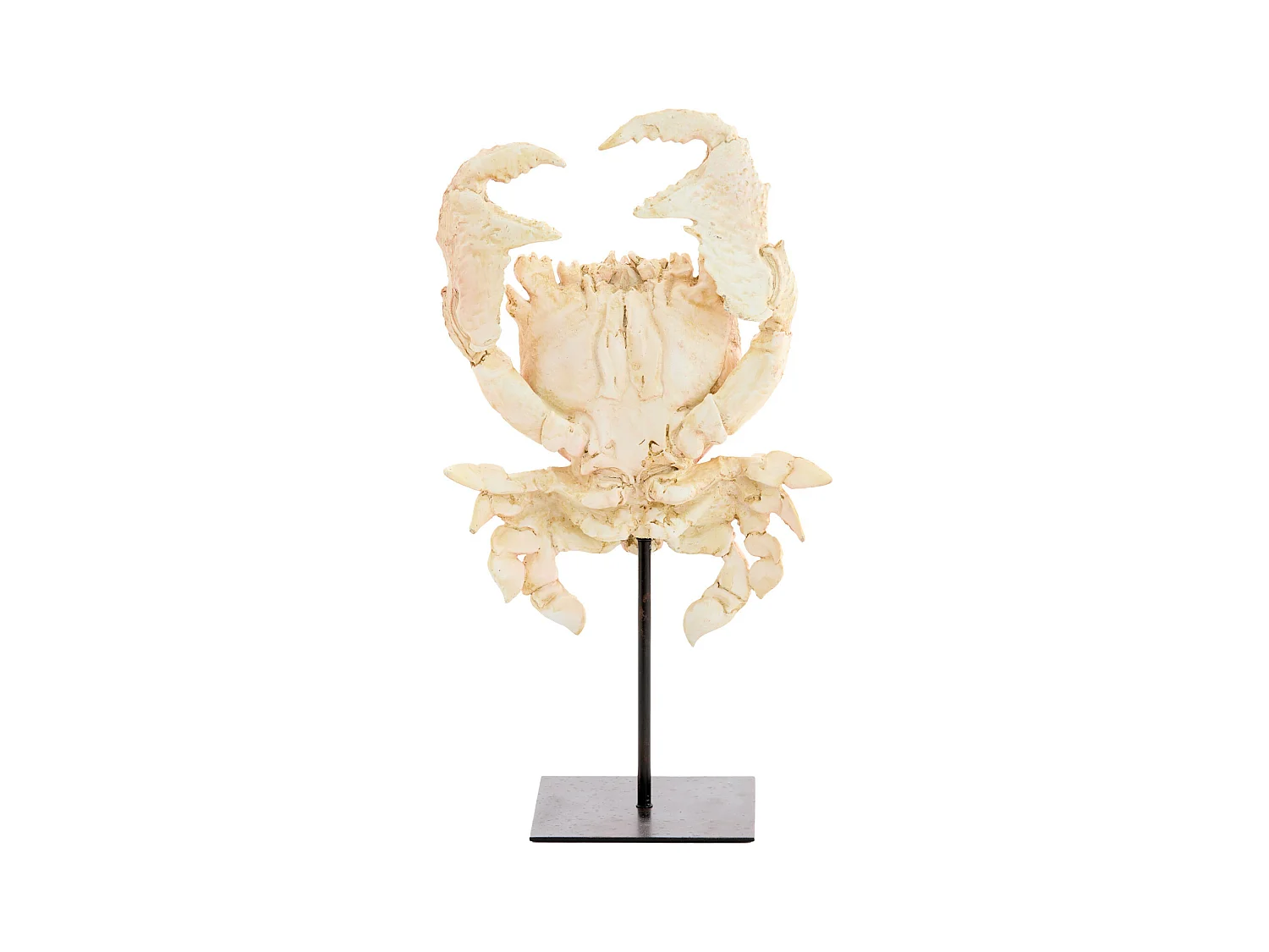 Ornement CRABE - 23x12,5x42,5cm - Orange