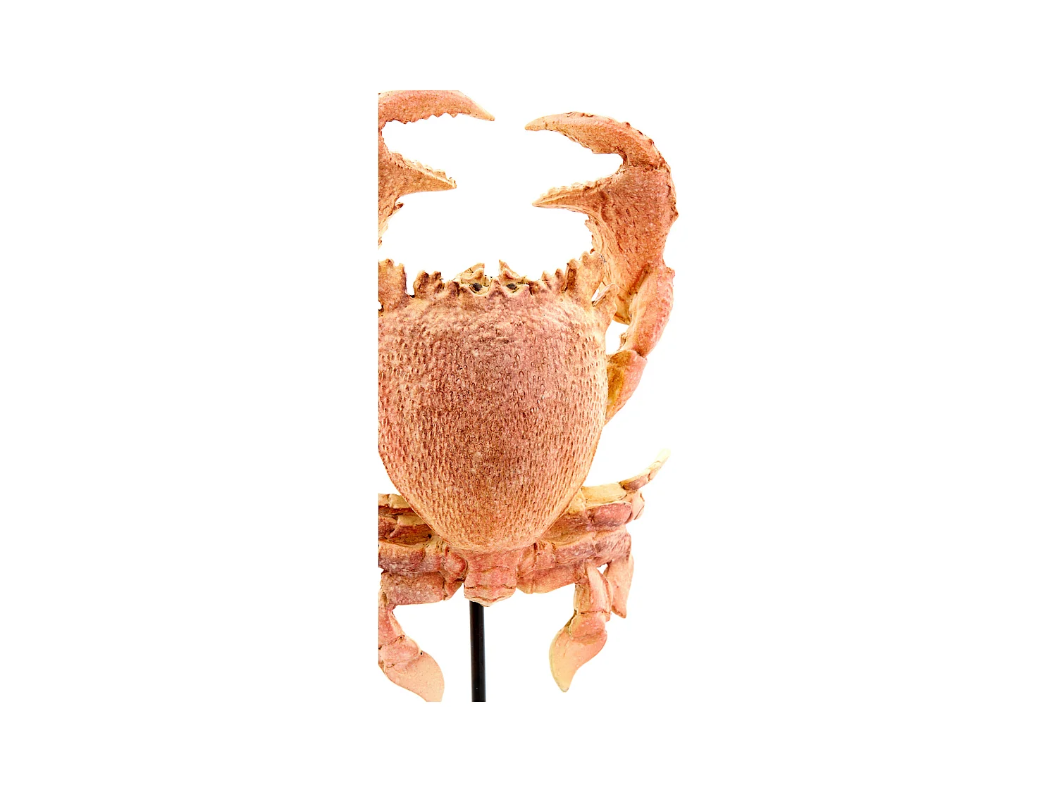 Ornement CRABE - 23x12,5x42,5cm - Orange