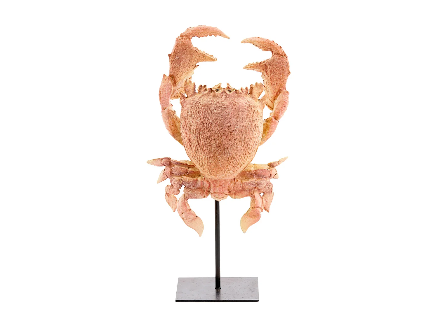 Ornement CRABE - 23x12,5x42,5cm - Orange