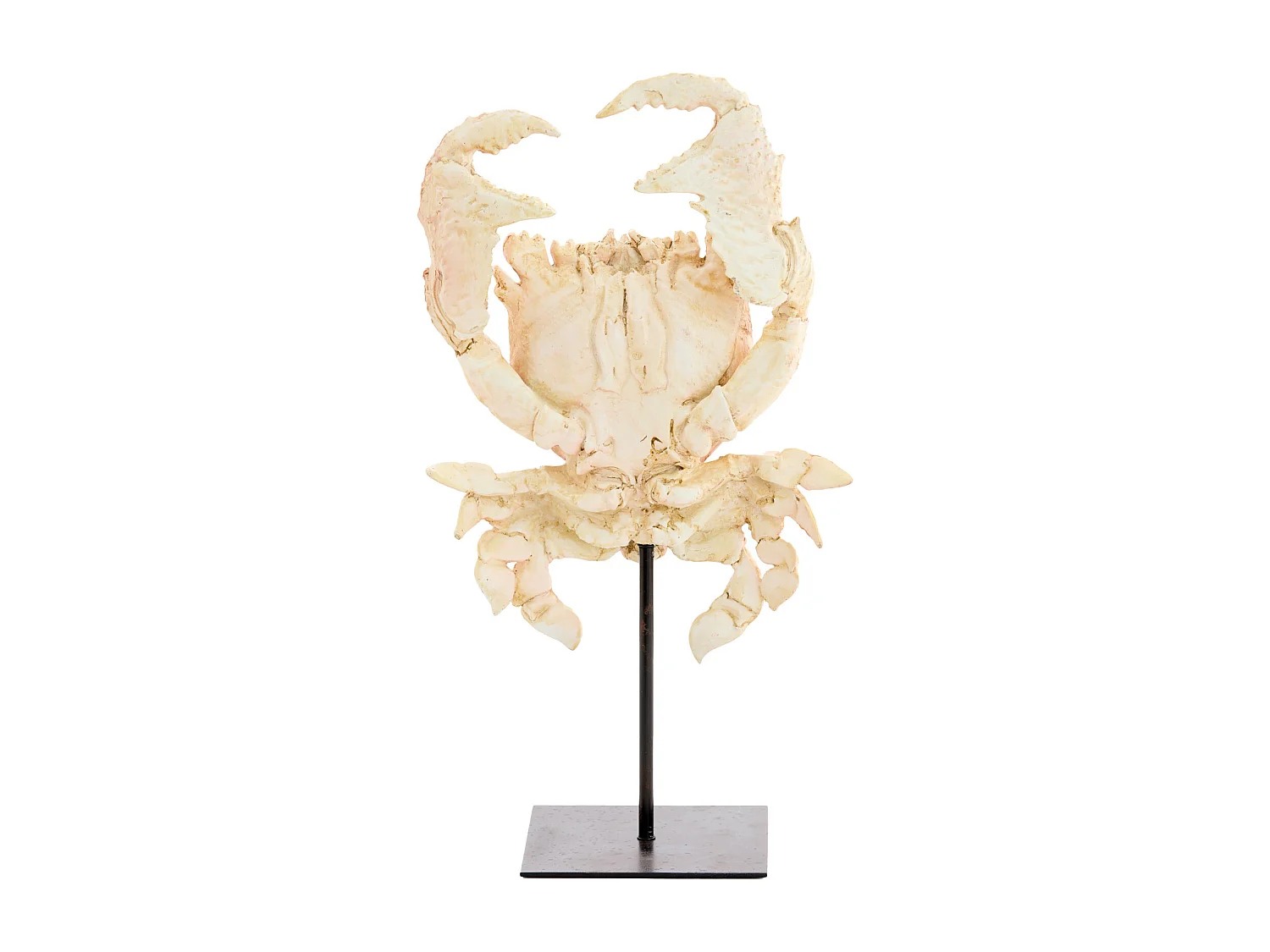 Ornement CRABE - 23x12,5x42,5cm - Orange