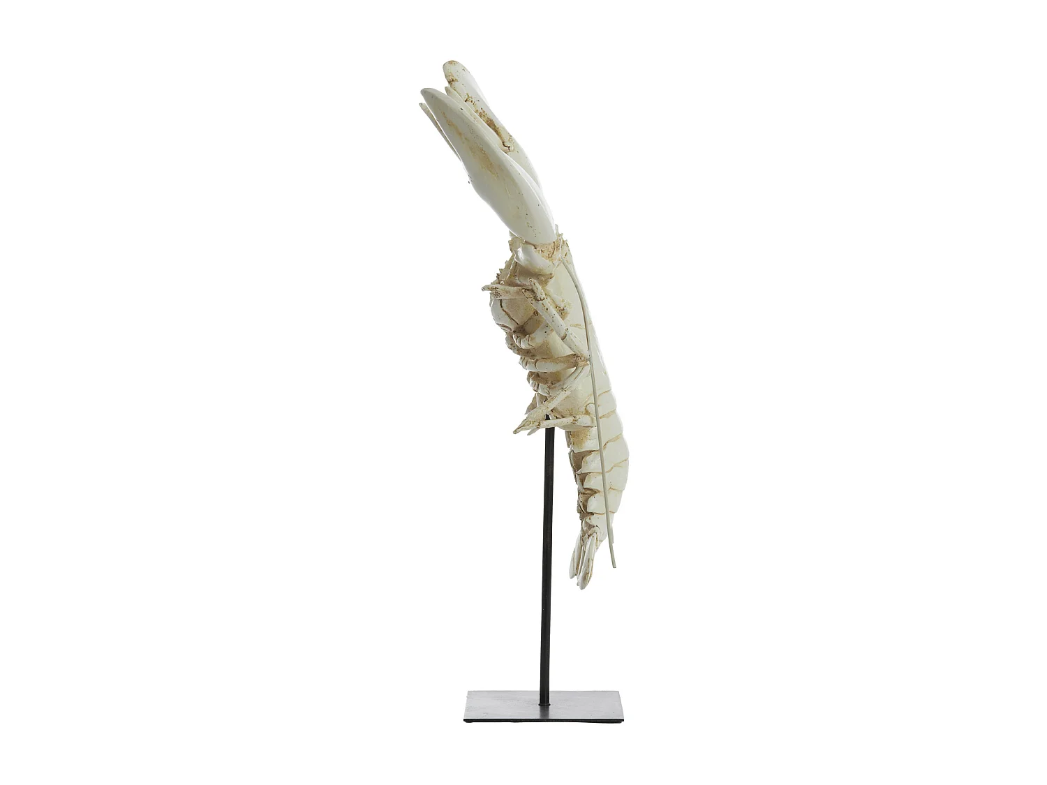 Ornement HOMARD - 25x14x56,5cm - Blanc
