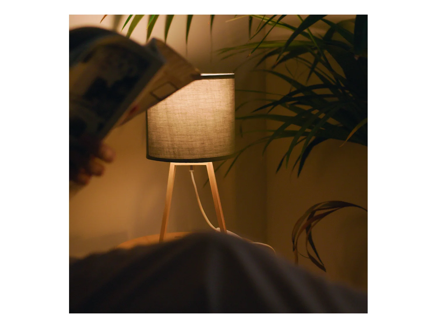 FORLIGHT NUTS - Lampe à poser de style nordique. Pour table de chevet en bois naturel et textile gris. E27