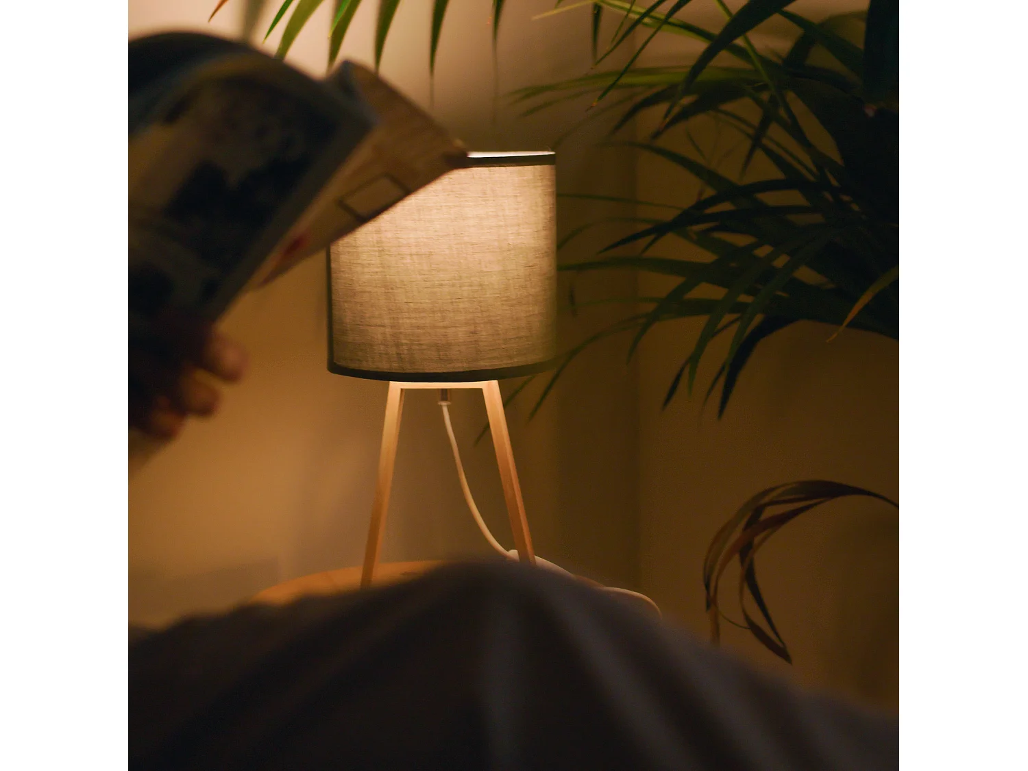 FORLIGHT NUTS - Lampe à poser de style nordique. Pour table de chevet en bois naturel et textile gris. E27