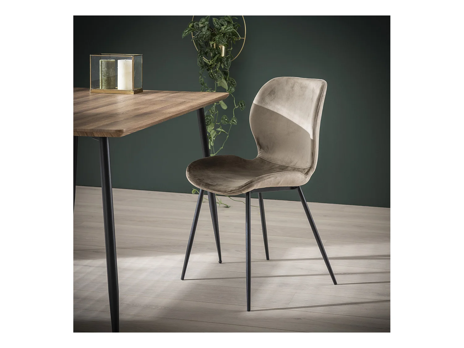 Chaise en velours - Assise coque - Couleur champagne - 4 pièces