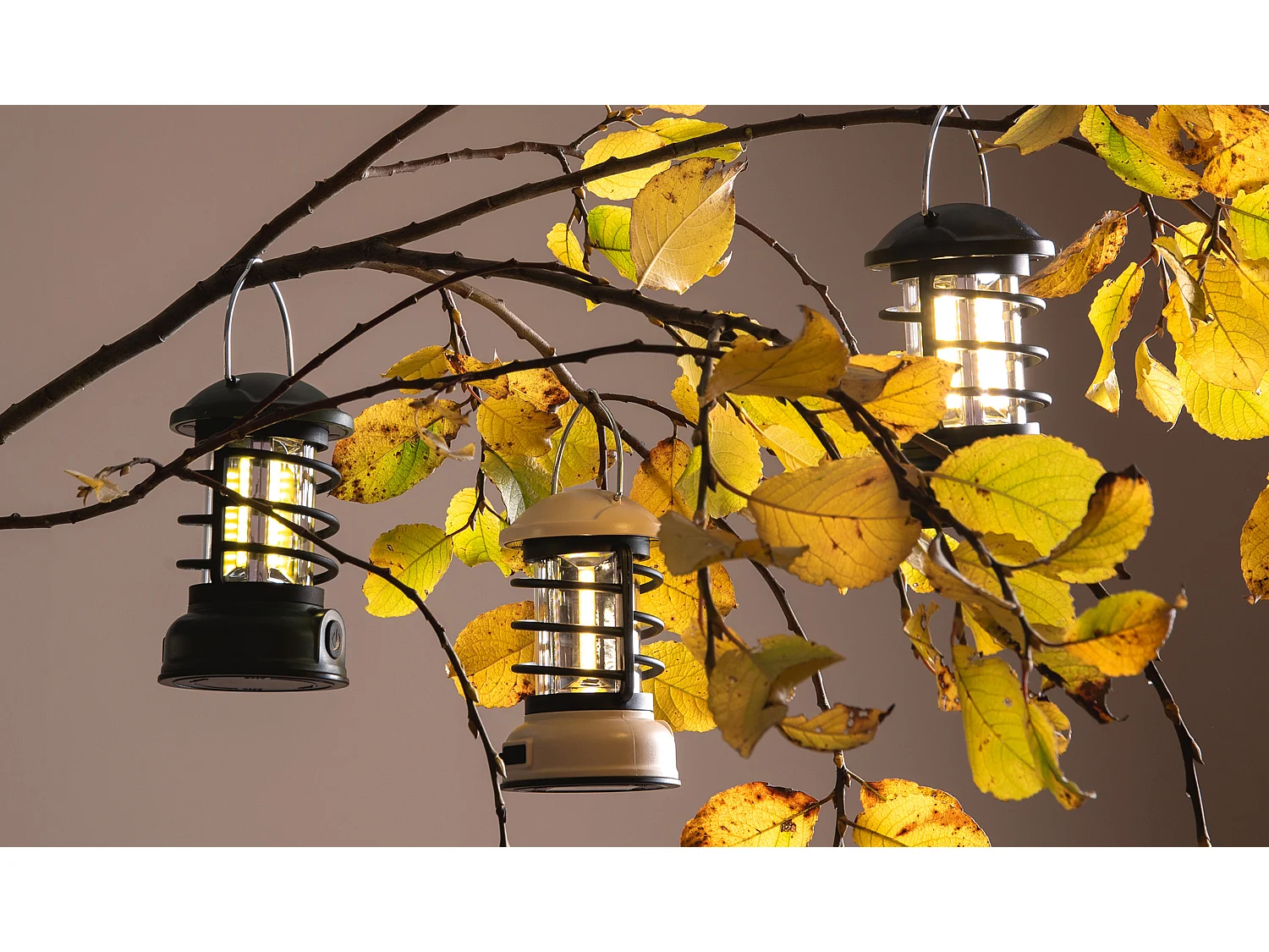 Lampe de table Lanterne de camping LED - Vert jungle