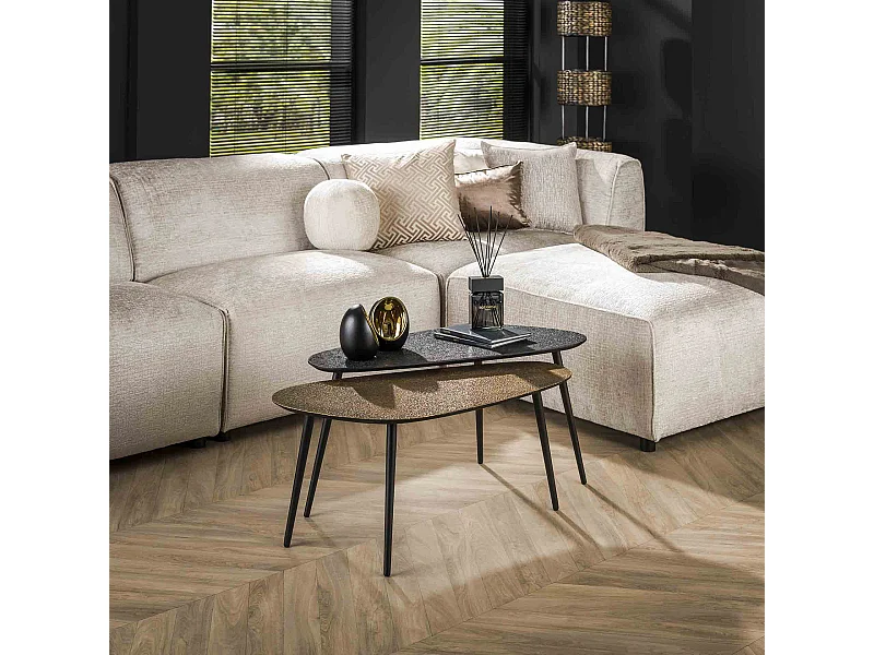 Table basse métallique en forme de haricot - Gris - Lot de 2