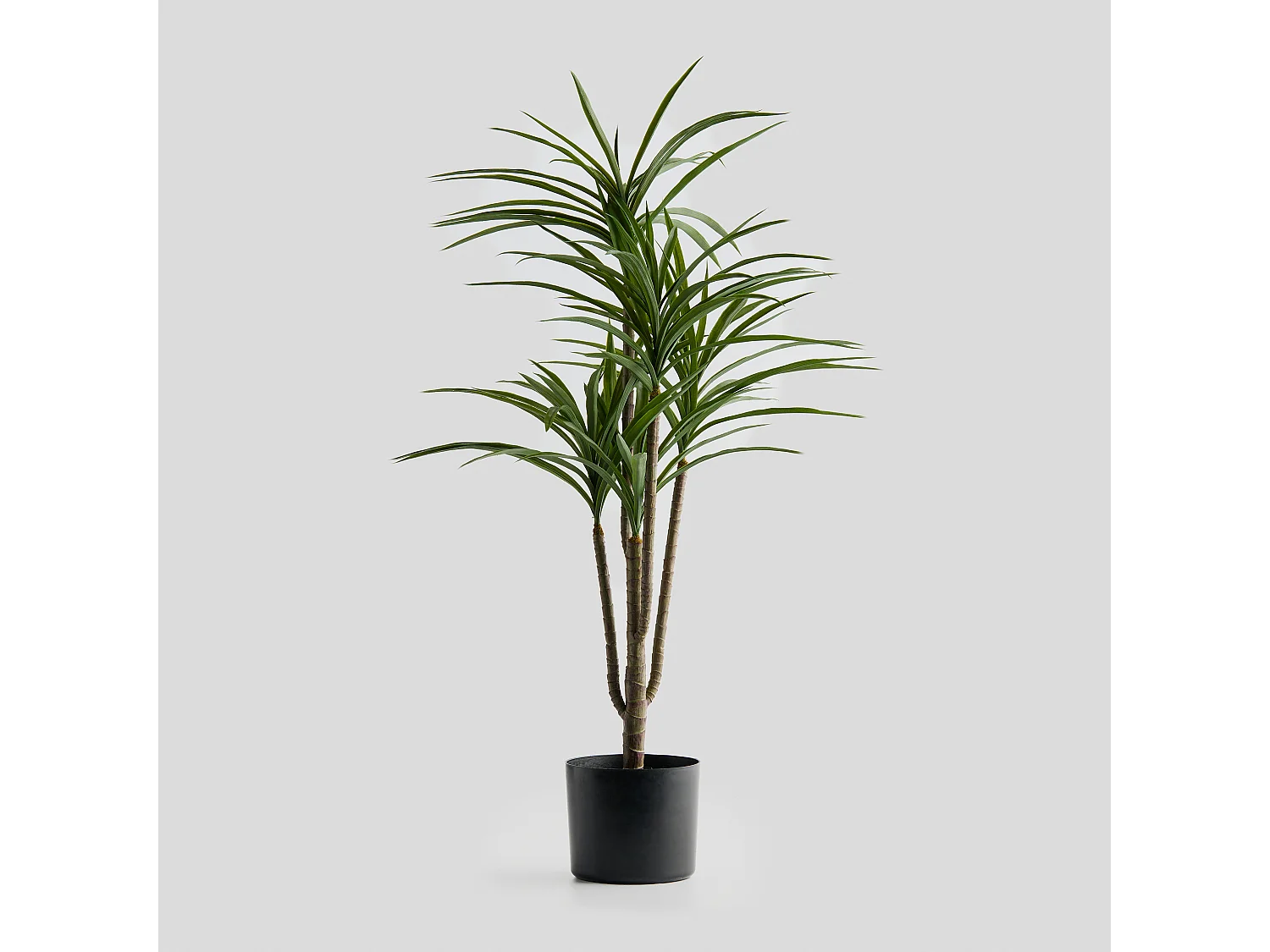 Kunstblumen Dracena mittelgrün 100 x 65