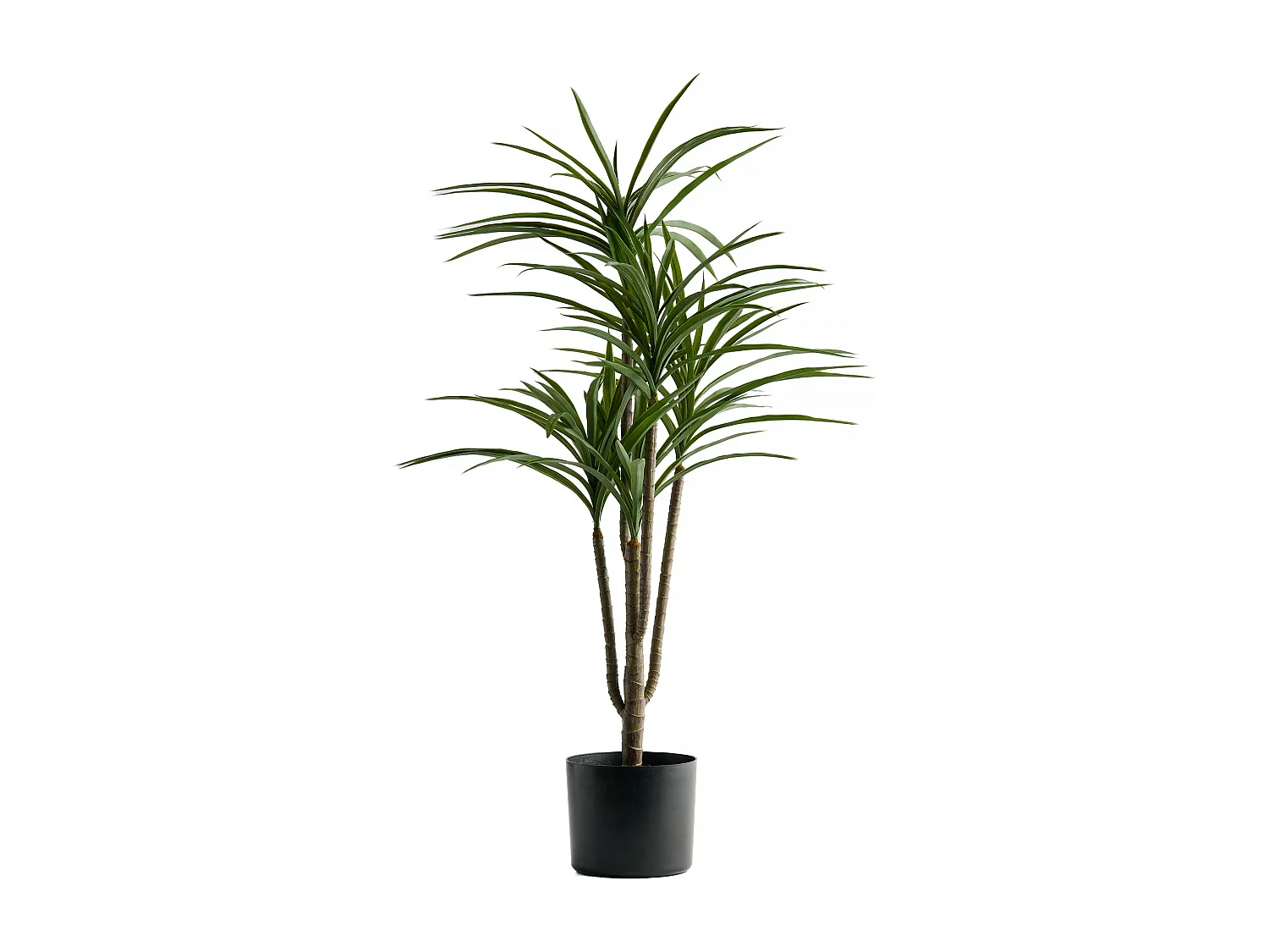 Kunstblumen Dracena mittelgrün 100 x 65