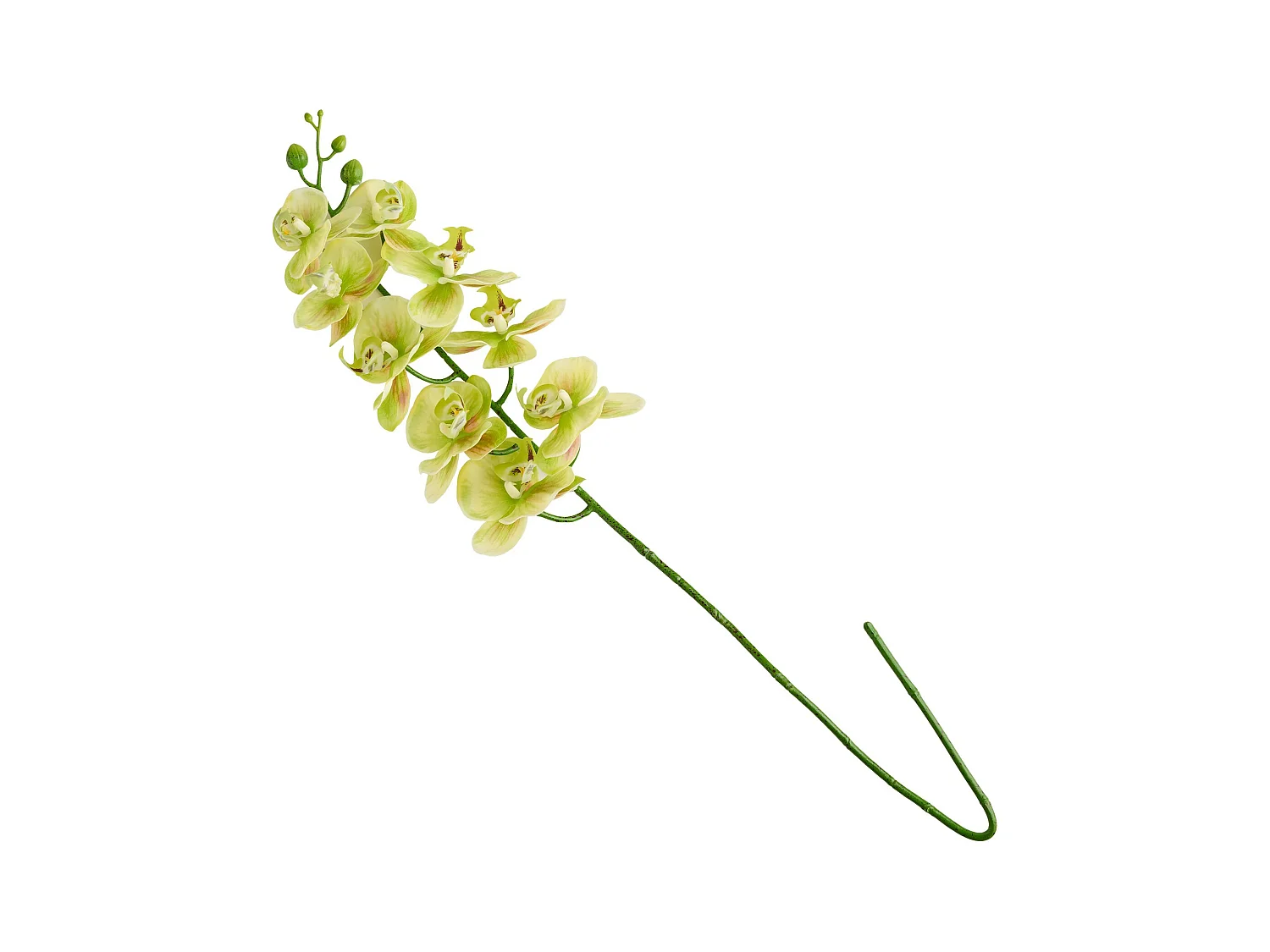 Fleur Orchstem vert clair 6 x 19 x 80
