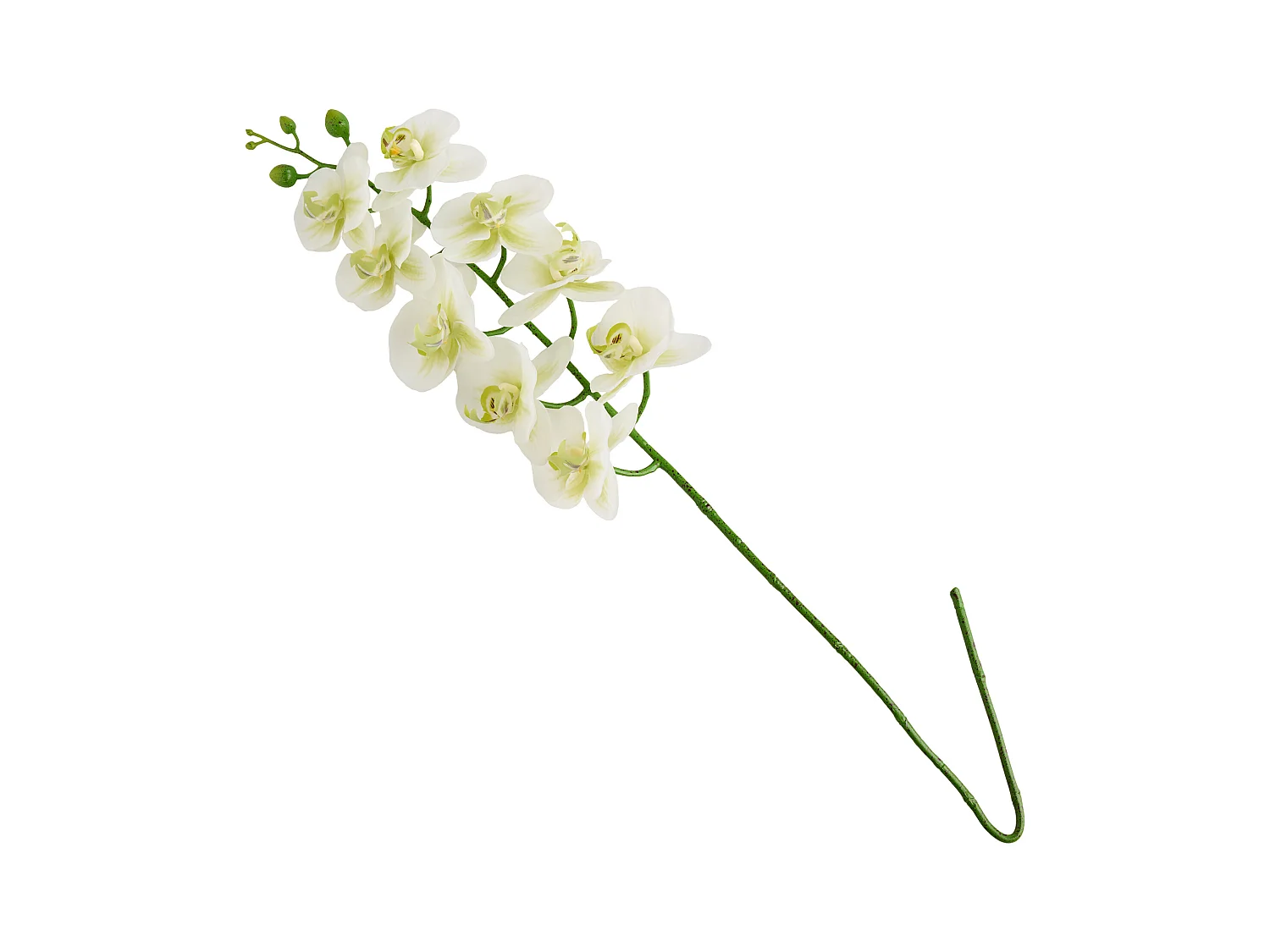 Fleur Orchstem blanc moyen 80 cm