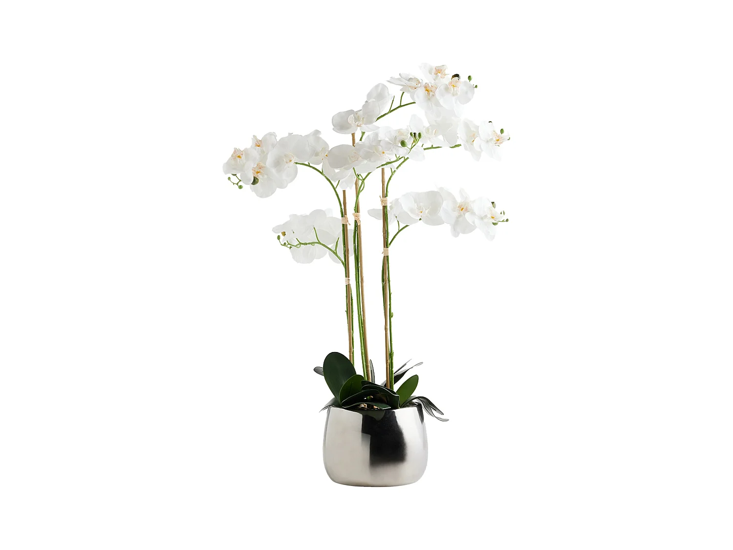 Composition Décorative Orchide Argent Moyen 80x65x65