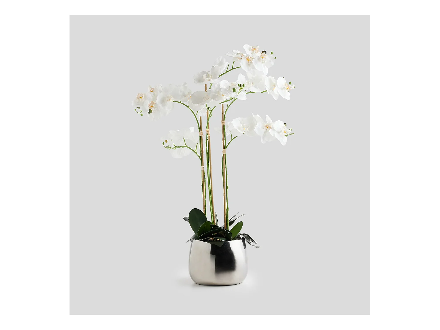 Composition Décorative Orchide Argent Moyen 80x65x65
