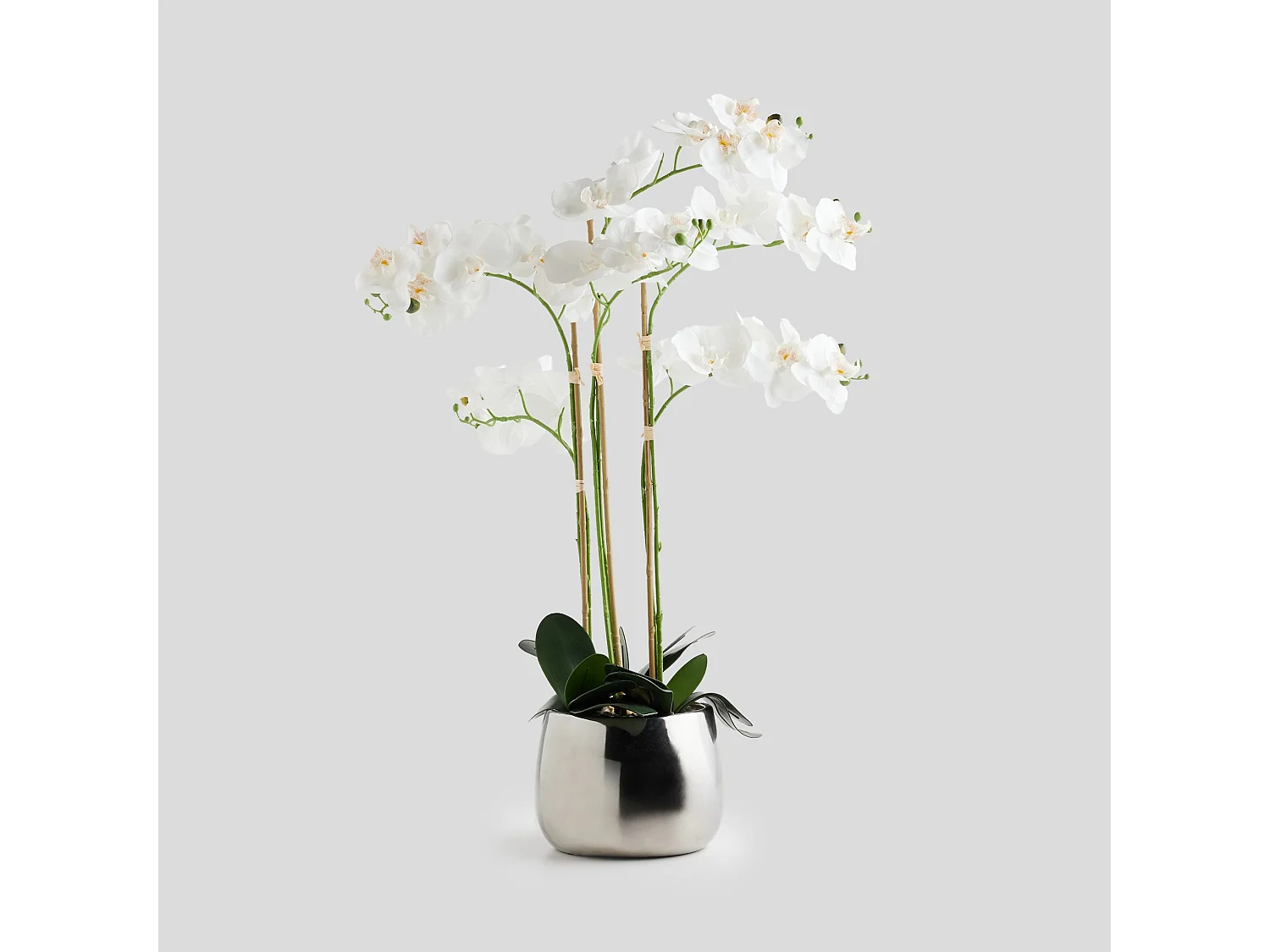 Elegante Silber-Orchidee: Luxus-Deko für Ihr Zuhause