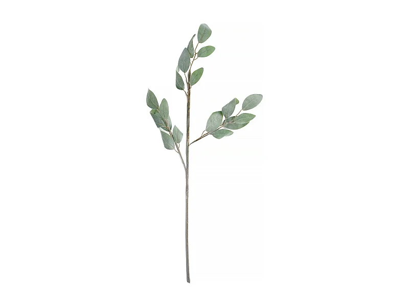 Blume Lefelo mittelgrün 6 x 30 x 75