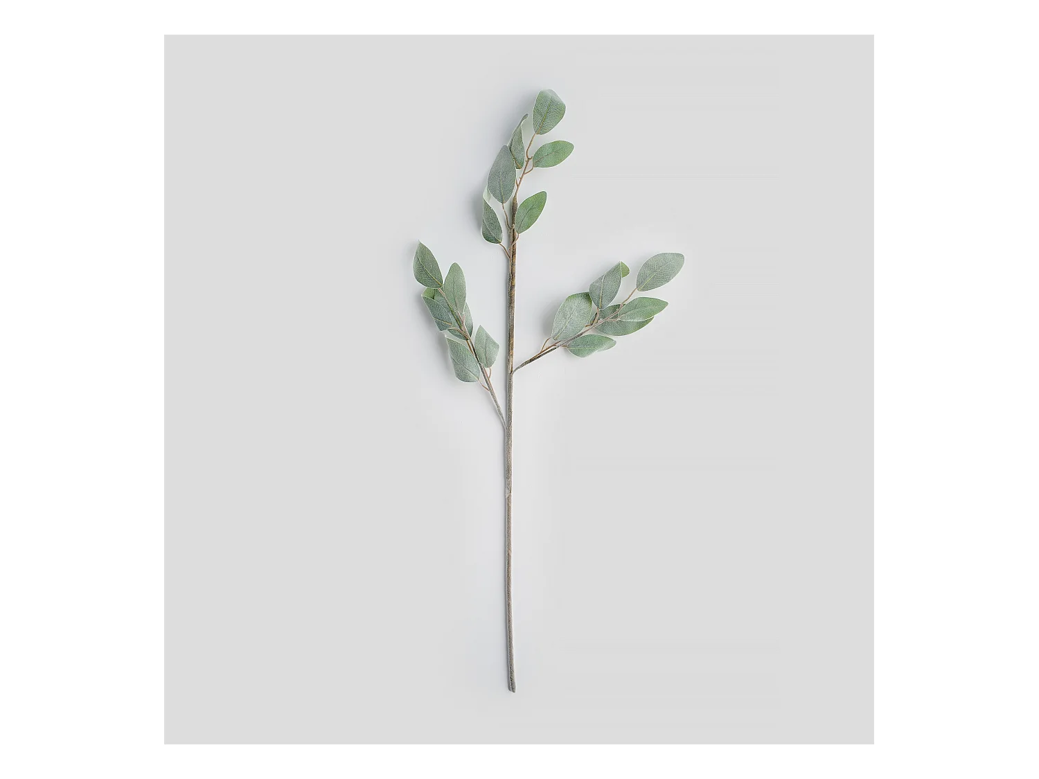 Blume Lefelo mittelgrün 6 x 30 x 75