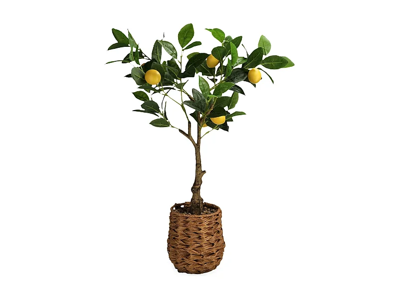 Herzstück Lemono hellgrün 70 x 50