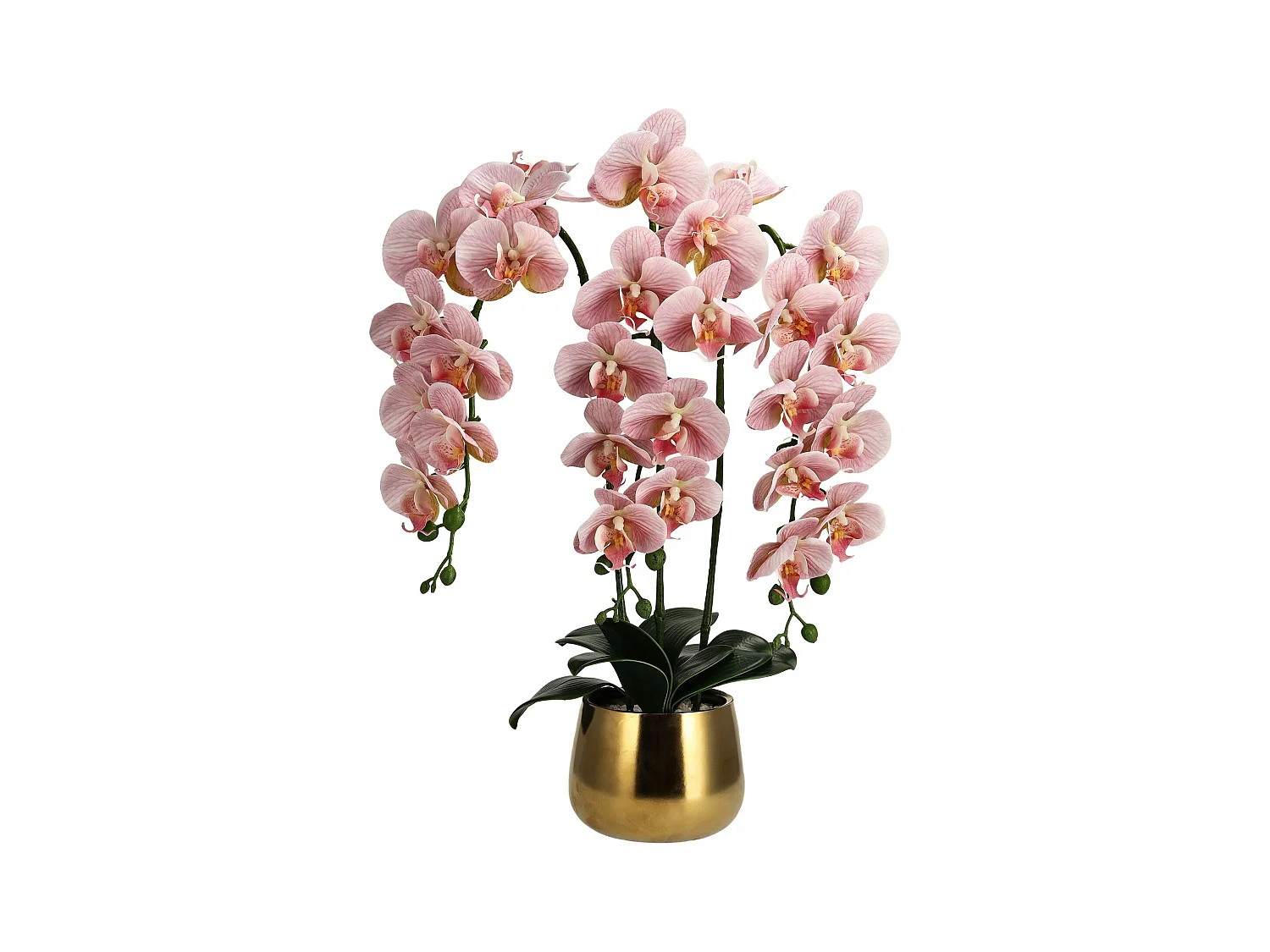 Composition Décorative Orchidiso rose moyen 67.31 x 25.4 x 50.8