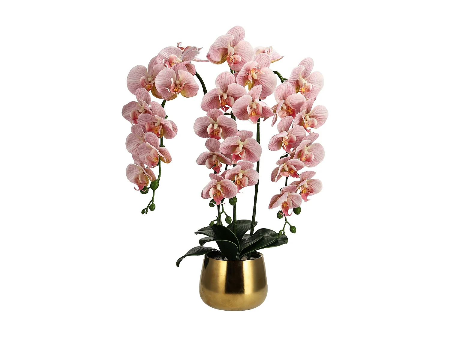 Composition Décorative Orchidiso rose moyen 67.31 x 25.4 x 50.8