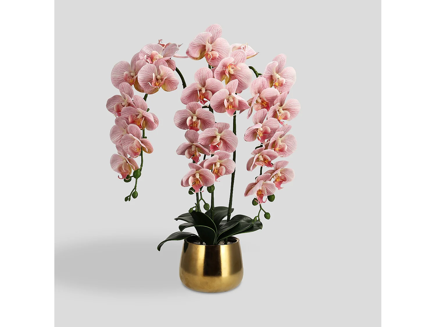 Composition Décorative Orchidiso rose moyen 67.31 x 25.4 x 50.8