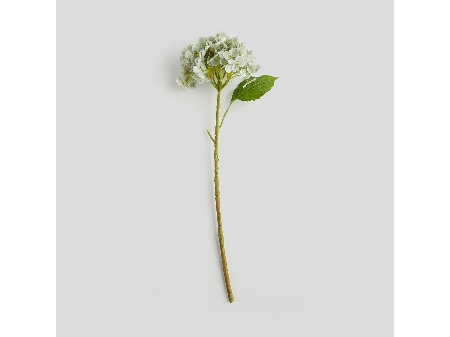 Kunstblume Silke - Natürlich & Pflegeleicht