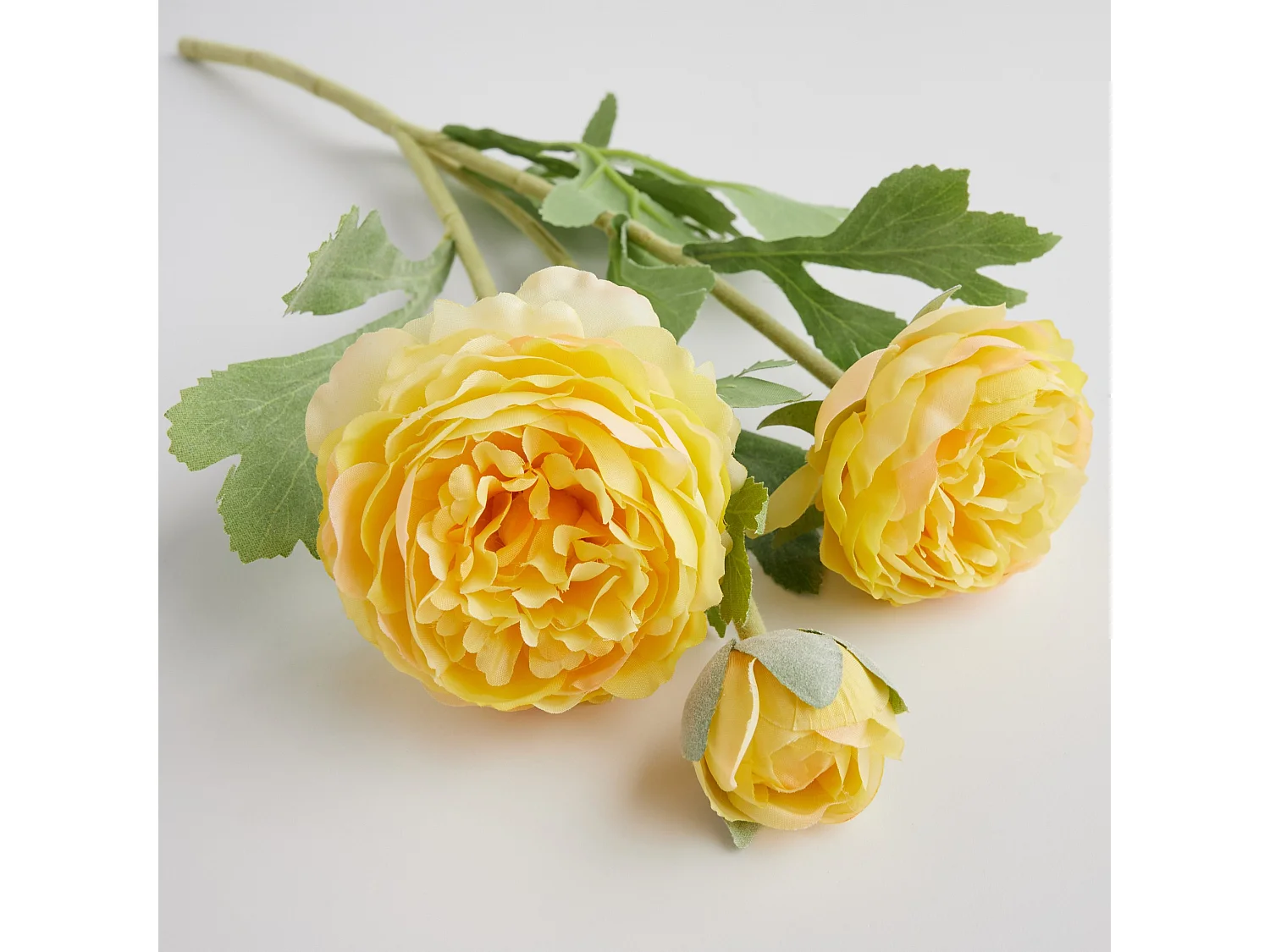 Blume Ramoso blassgelb 47 x 18 x 7