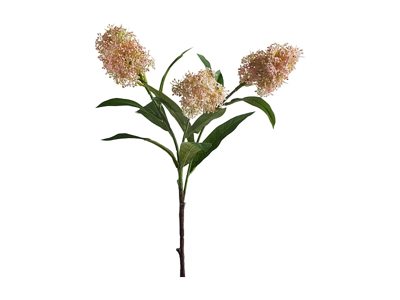 Blume Gricilia Mittelrosa 57 x 15 x 8