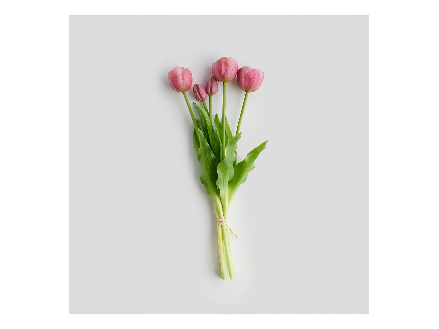 Blumenstrauß Tulipanisio mittelviolett 7 x 18 x 40