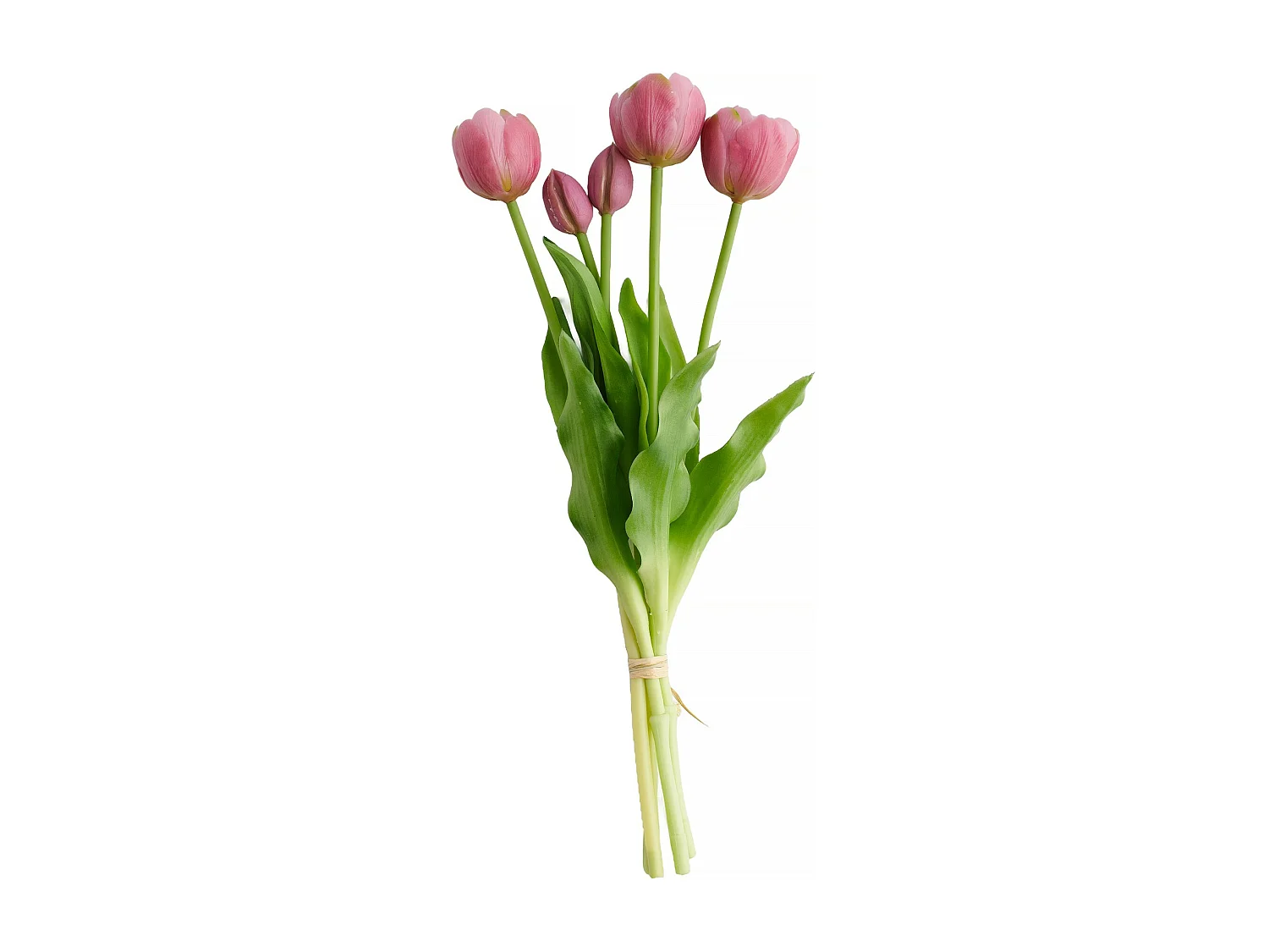 Blumenstrauß Tulipanisio mittelviolett 7 x 18 x 40