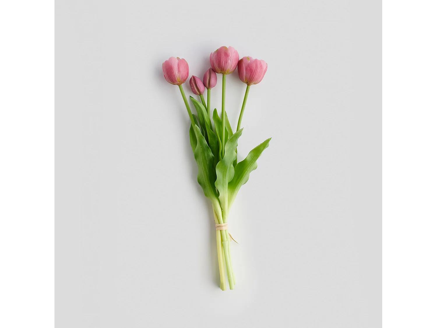 Blumenstrauß Tulipanisio mittelviolett 7 x 18 x 40