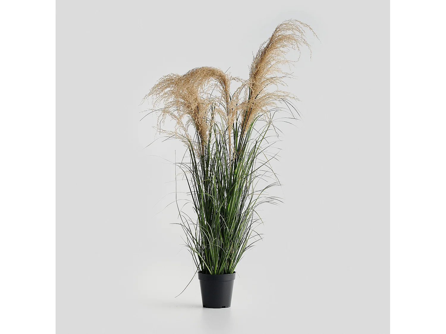 Herzstück Erboli mittleres Beige 20 x 35 x 85