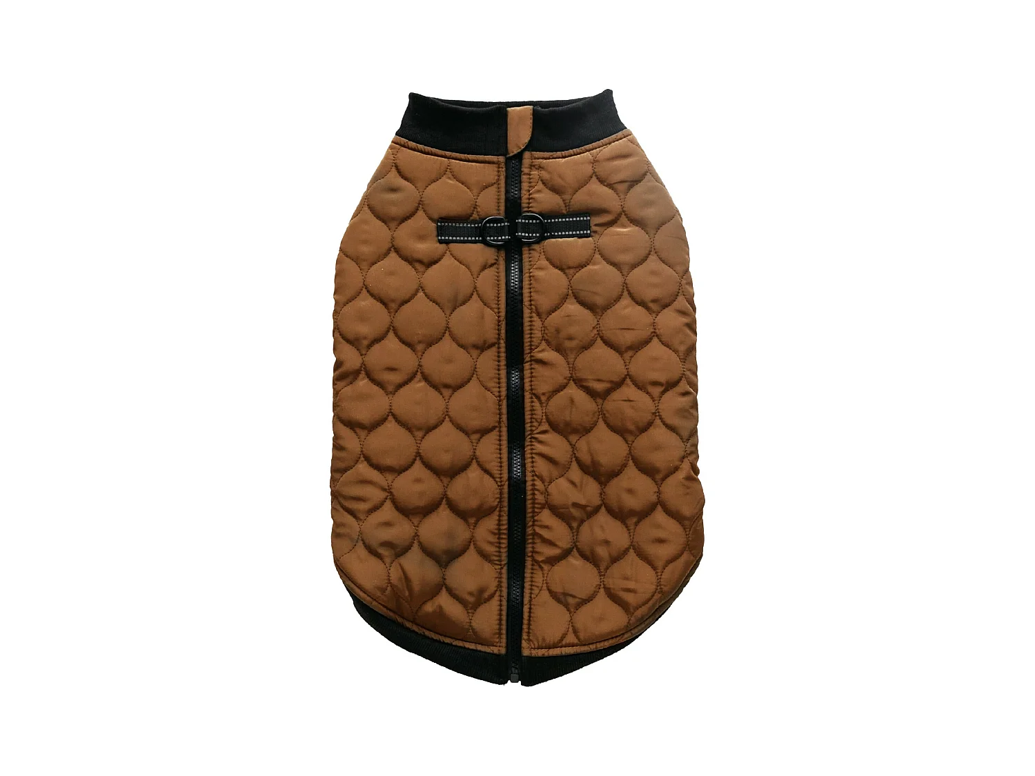 Haustier-Outfit Celtic mittleres Beige Größe L 32 x 52 cm