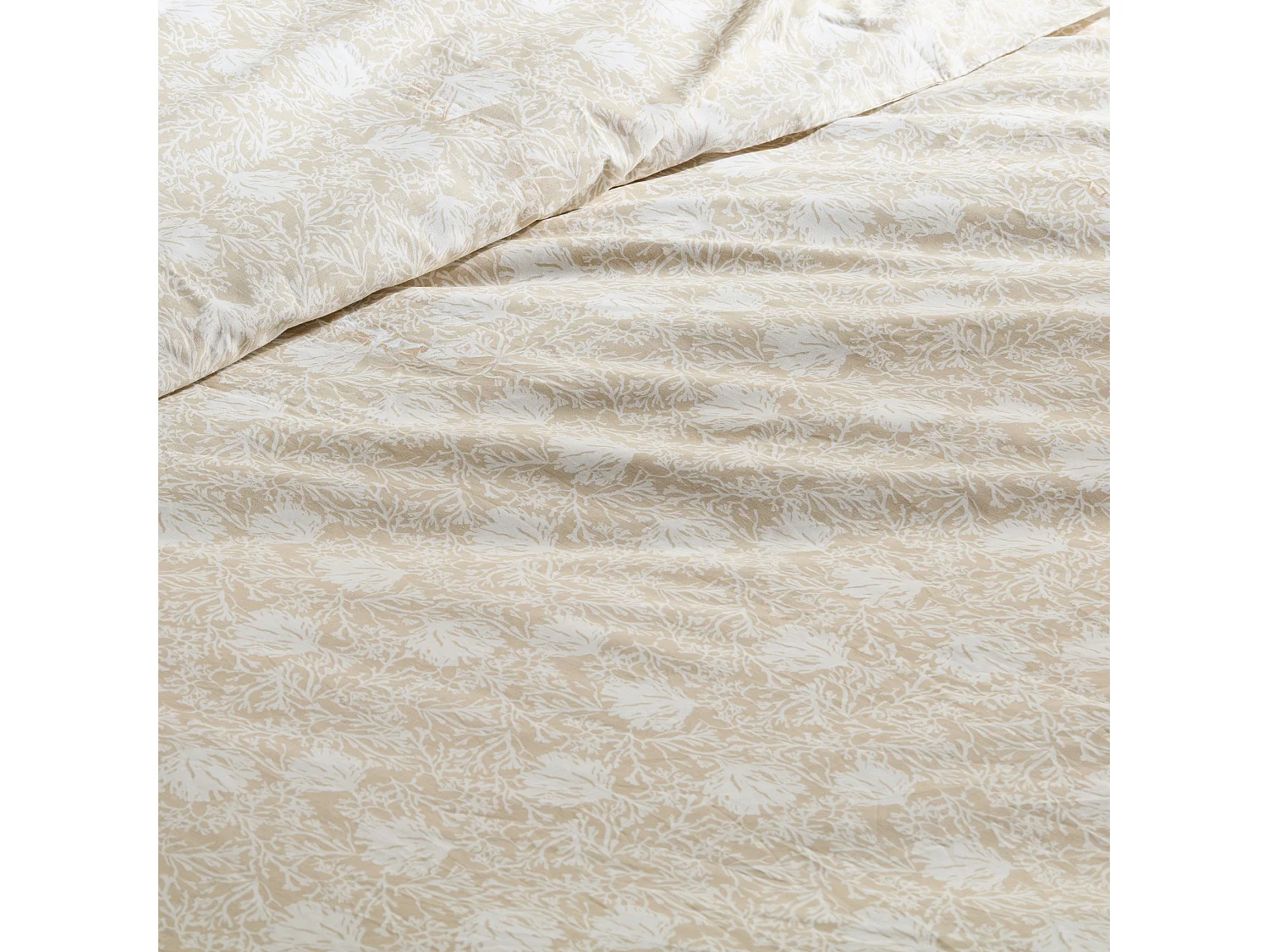 Parure de lit Coquillage Beige Clair Coton 200x220