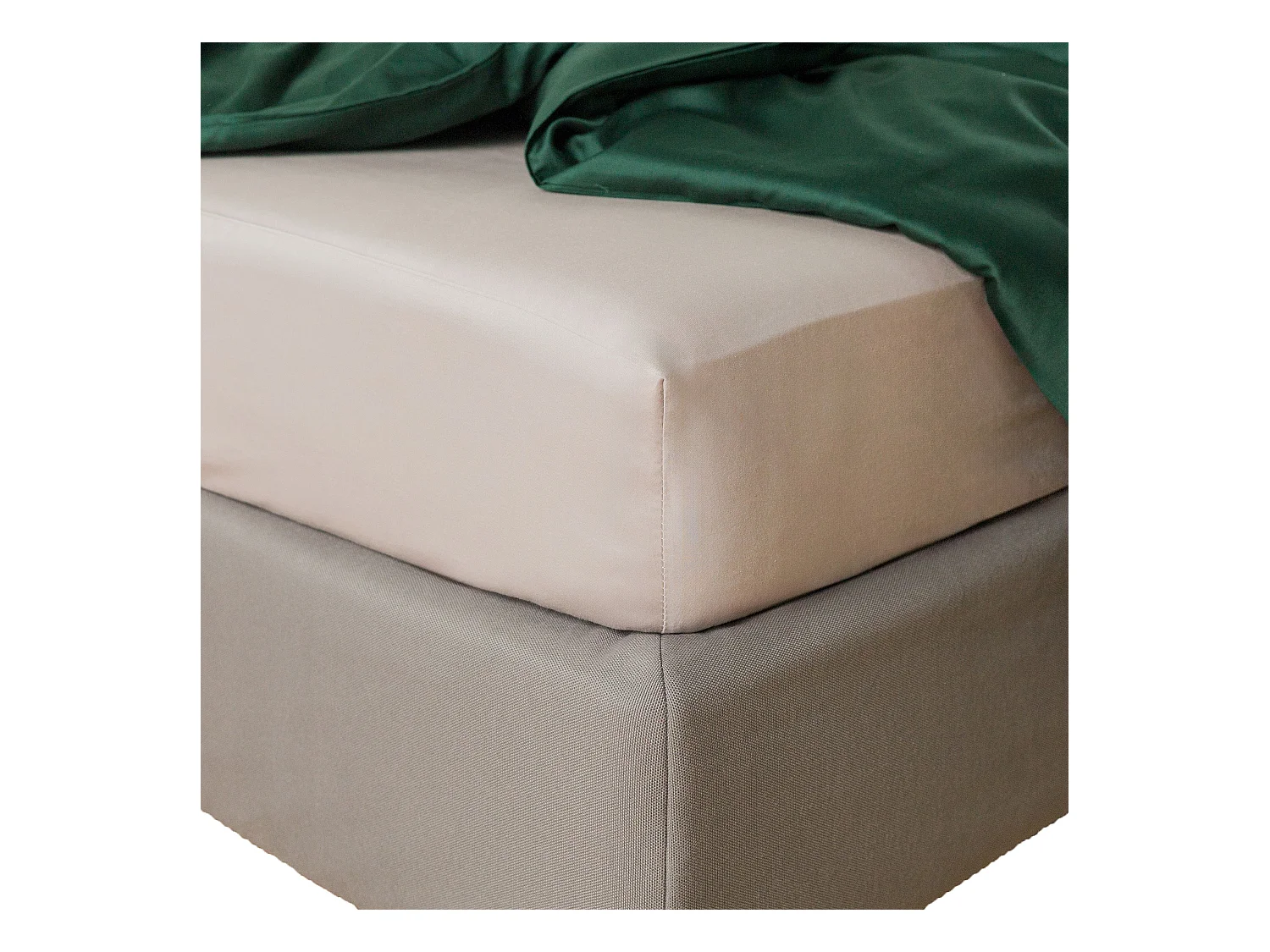 Drap housse Satinette Beige Coton 180 x 200 cm