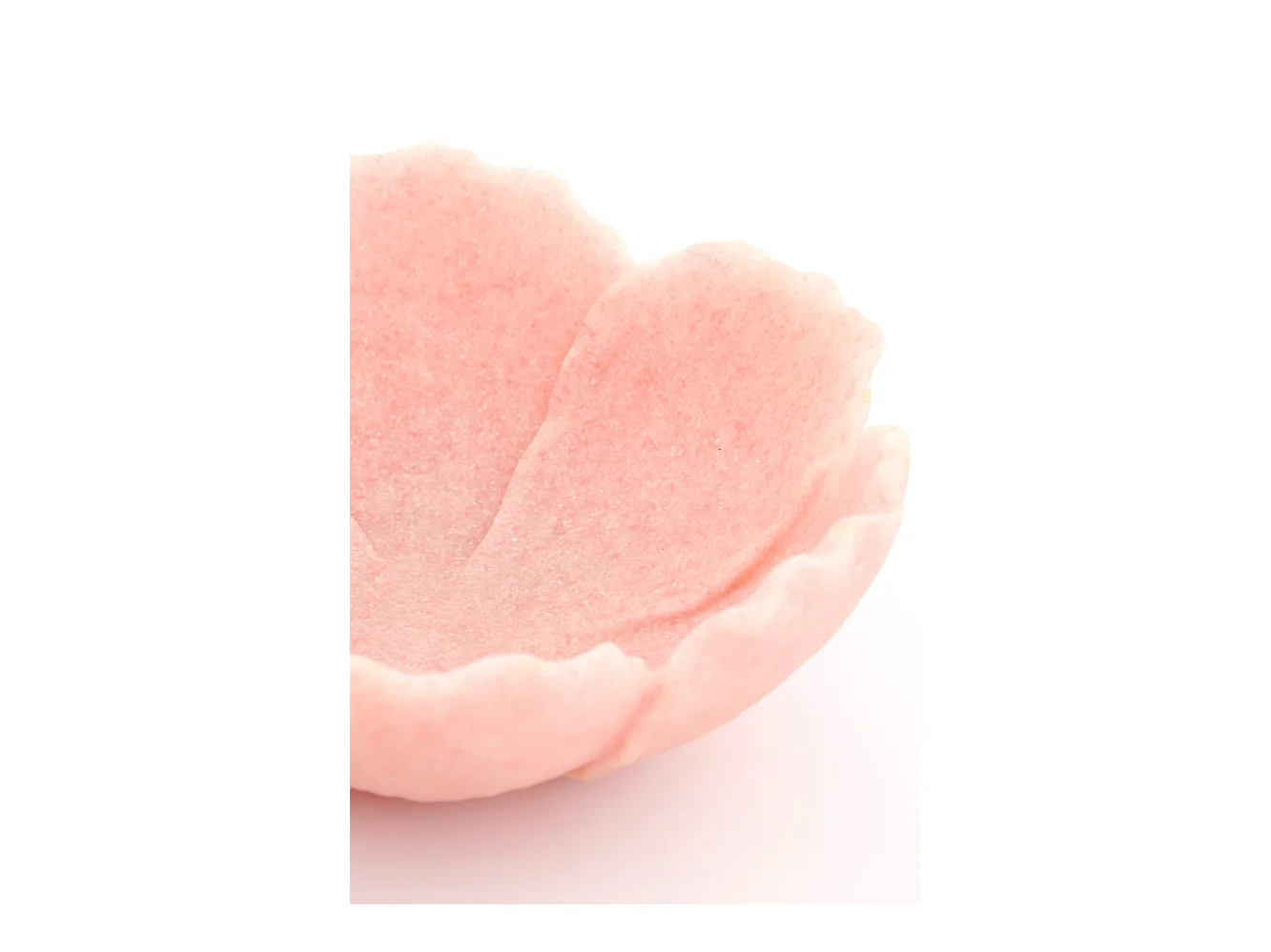 Bol FRESIA - 20,5x19,5x7,5cm - Rose