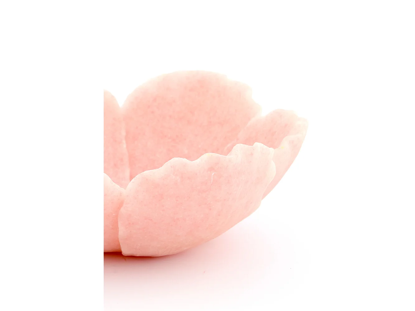 Bol FRESIA - 20,5x19,5x7,5cm - Rose