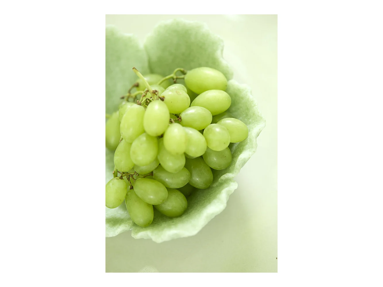 Balance FRESIA - 20,5x19,5x7,5cm - Vert