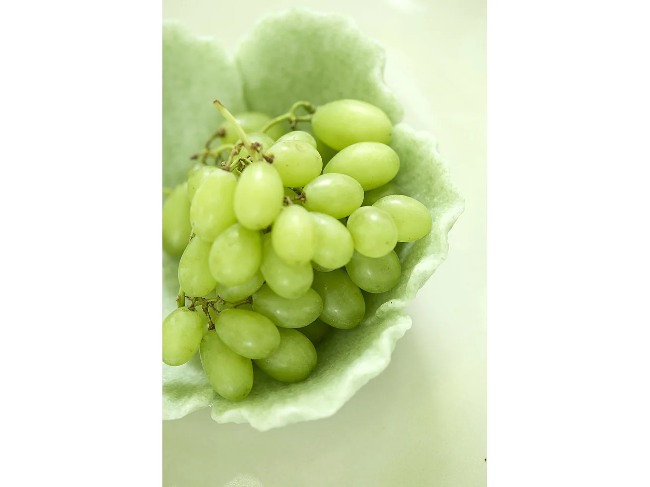 Balance FRESIA - 20,5x19,5x7,5cm - Vert