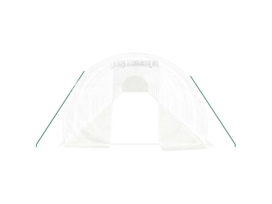 Gewächshaus mit Stahlrahmen Weiß 66 m² 22x3x2 m
